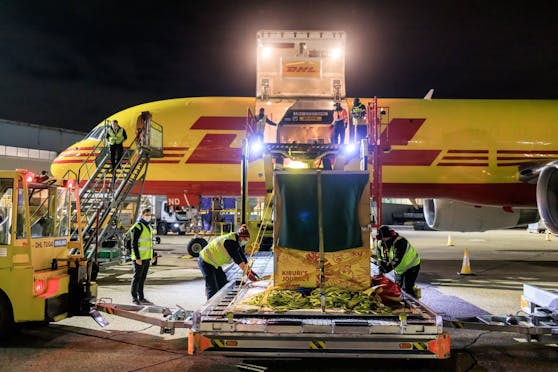 Kiburi bei seiner Ankunft am Flughafen Heathrow in London.