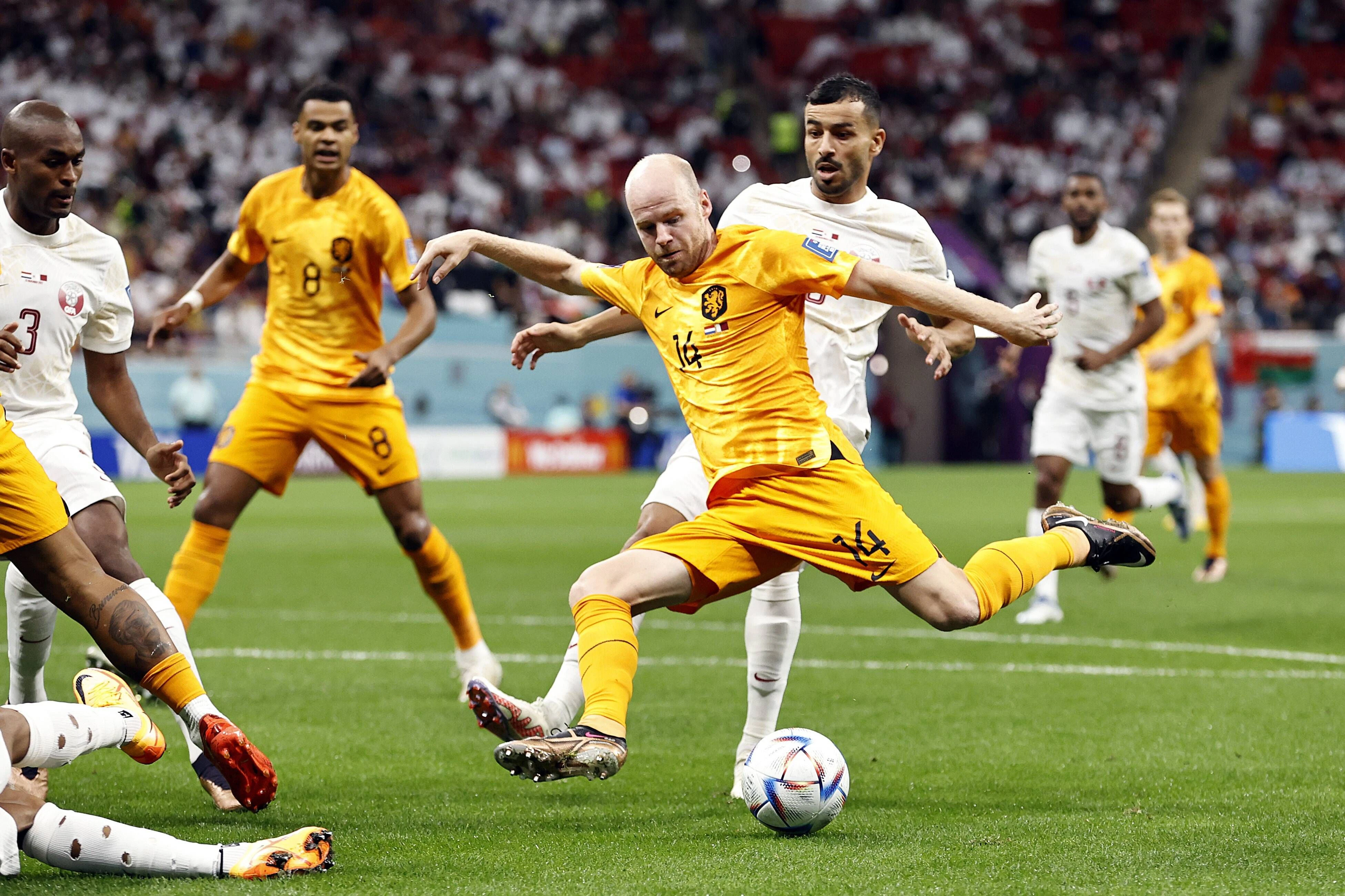 Holland gegen Katar: Davy Klaassen beim Schussversuch
