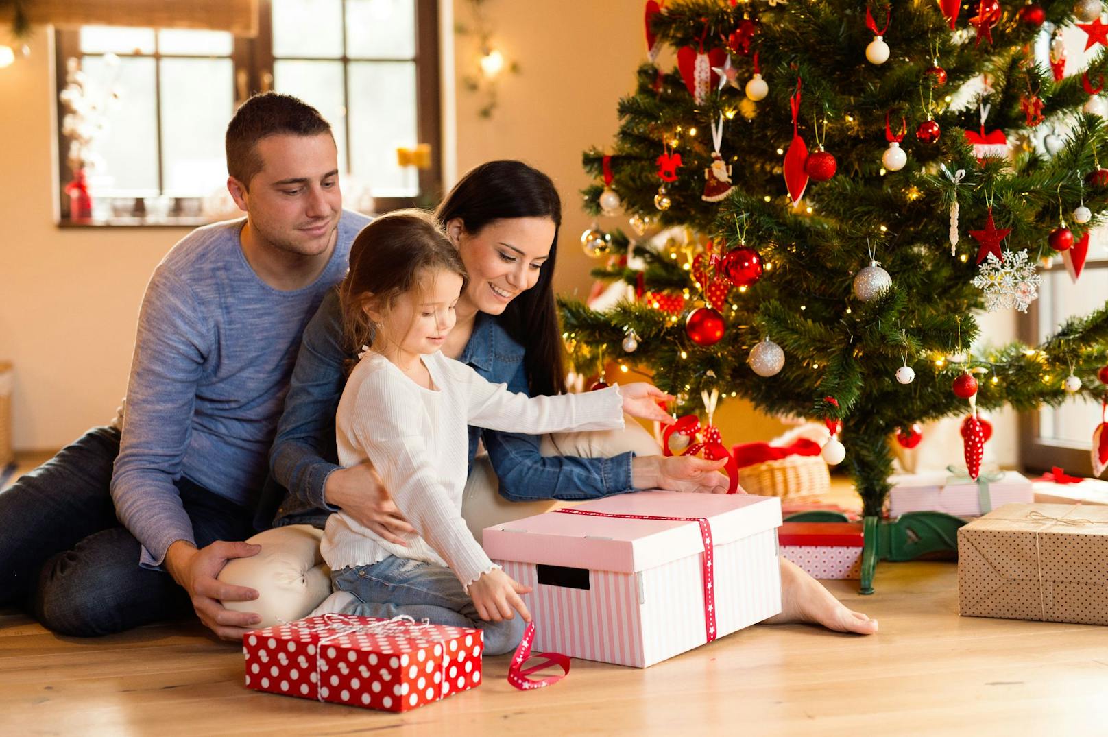 Experten warnen: Die Freude übers Weihnachtsgeschenk kann schnell ein böses Ende nehmen.