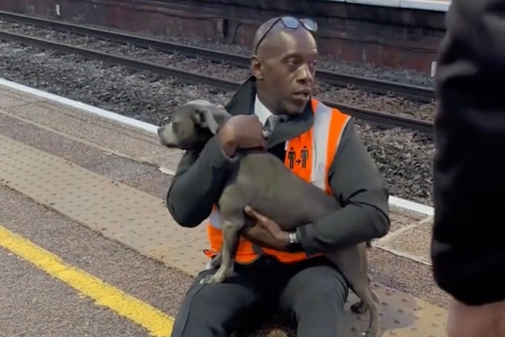 Paul Hawthorn wird aufgrund seiner Hunderettung auf TikTok als Held gefeiert.