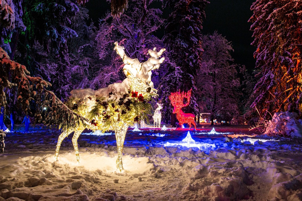 LUMAGICA: Der weltberühmte magische Lichterpark kommt erstmals nach Wien.