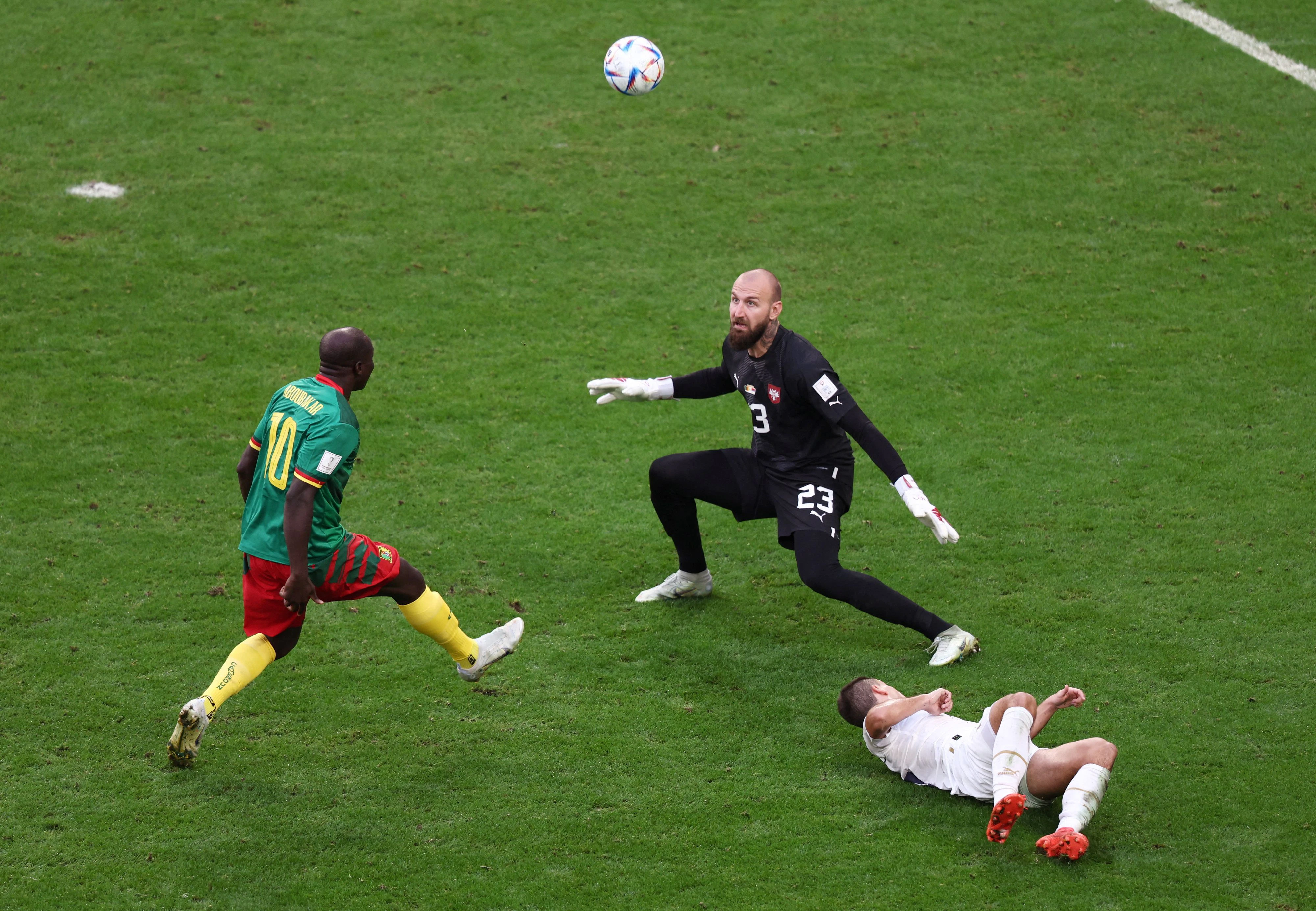 Ein echtes Traumtor gelang Kameruns Aboubakar beim 3:3 gegen Serbien in der Gruppenphase der Winter-WM in Katar. Der Stürmer überhob Keeper Milinkovic-Savic frech und spektakulär.