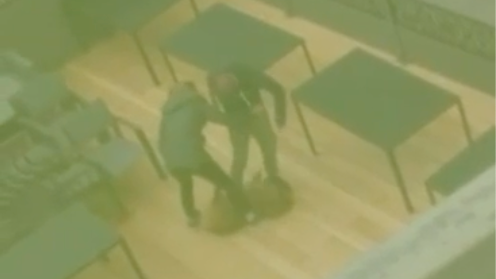 Auf diesem Foto sieht man, wie "Lucy" getreten wird.