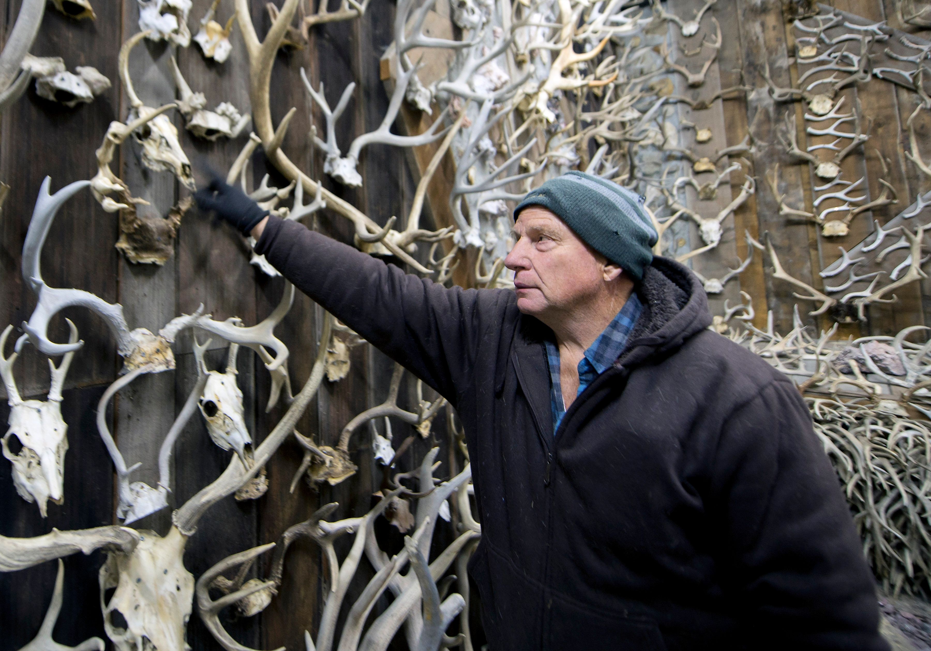 Seit er ein kleines Kind war, sammelt Jim Philipps Geweihe und Schädel von Elchen und Hirschen. Mittlerweile sind es 16.000 Stück. 