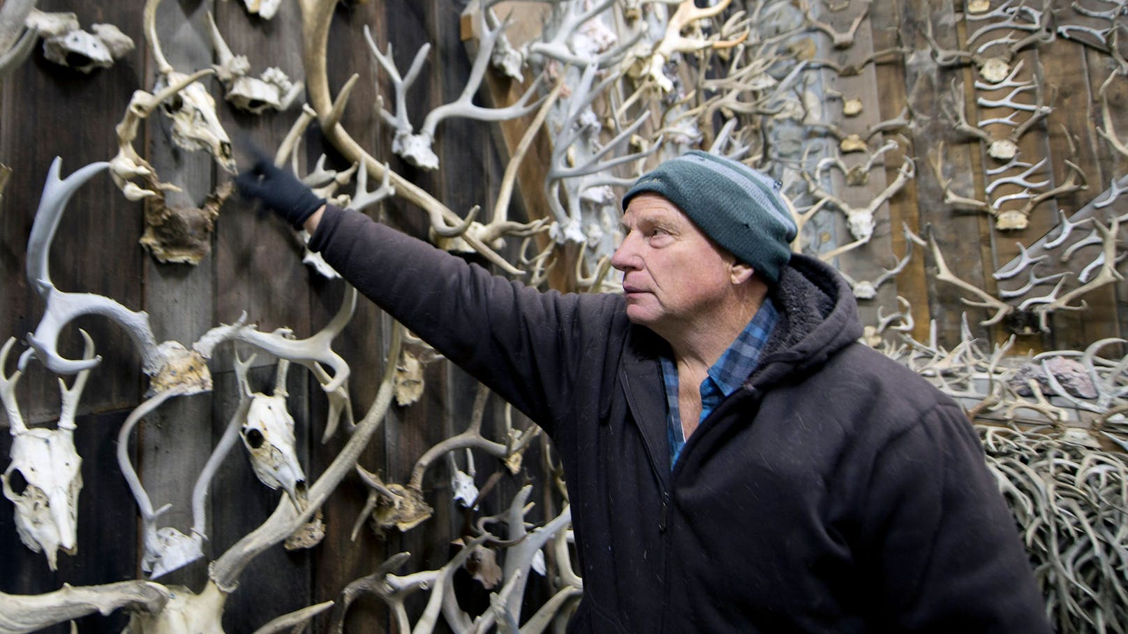 Seit er ein kleines Kind war, sammelt Jim Philipps Geweihe und Schädel von Elchen und Hirschen. Mittlerweile sind es 16.000 Stück. 