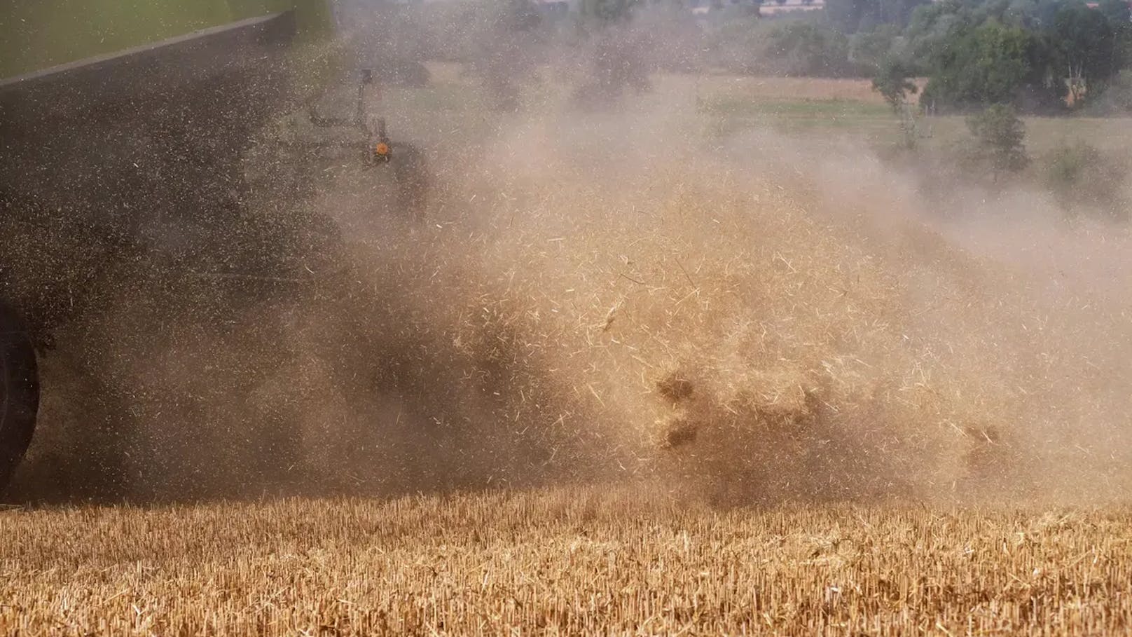 Russland hat rund 5,8 Millionen Tonnen ukrainischen Weizen geerntet.