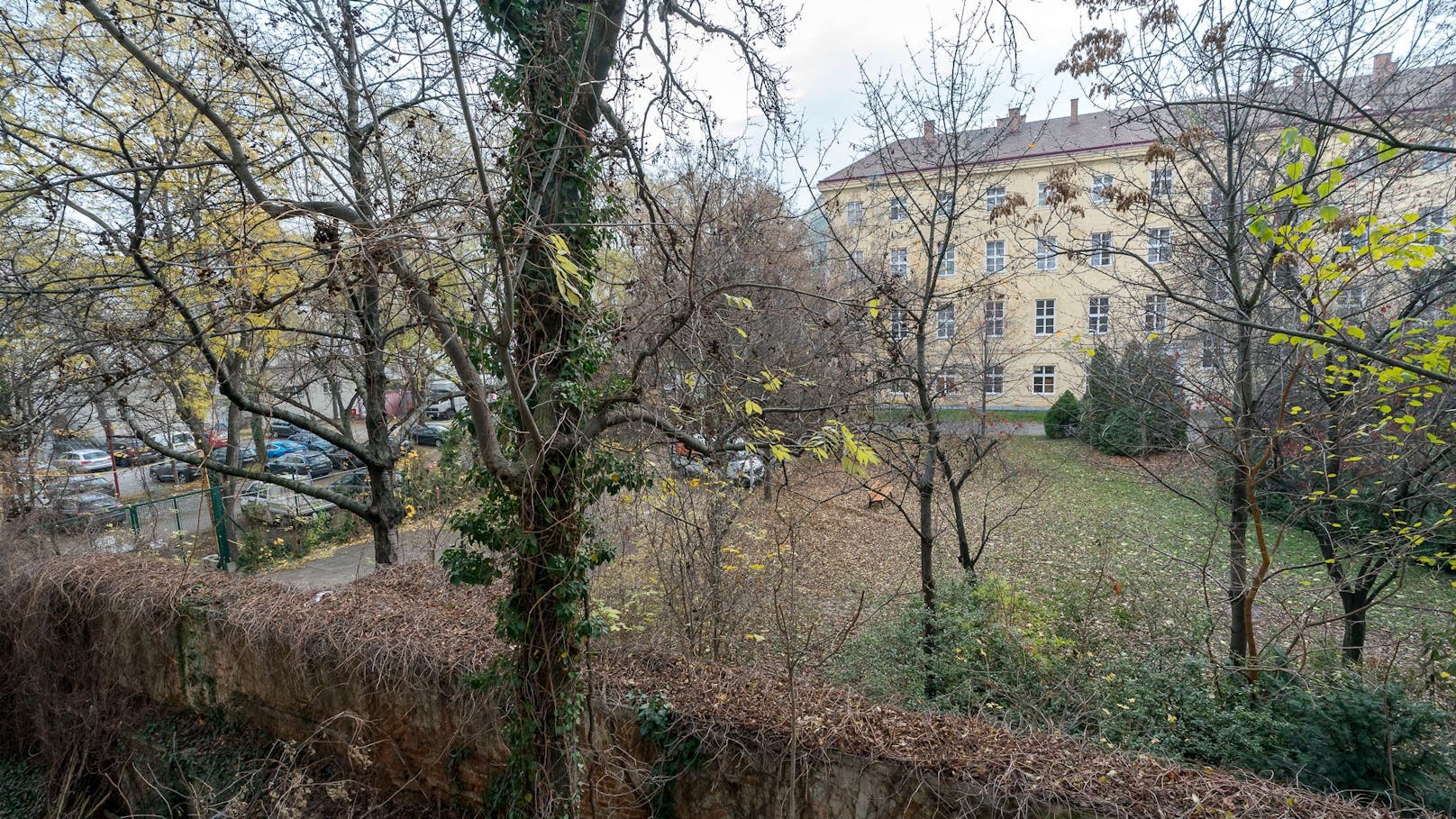 Diese Grünfläche in Wien-Wieden soll bebaut werden.