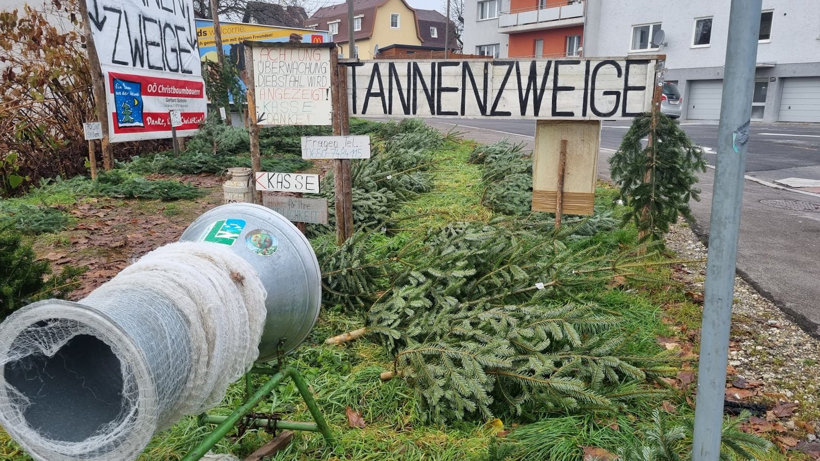 Tannenzweige ab 10 Cent pro Stück und kleine Christbäume ab 6 Euro werden am Verkaufsstand Linz-Dornach angeboten.