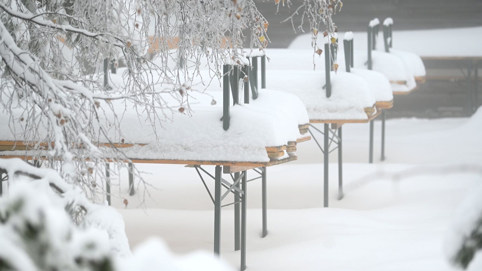 Österreich darf sich in der neuen Woche wieder über Schnee freuen.
