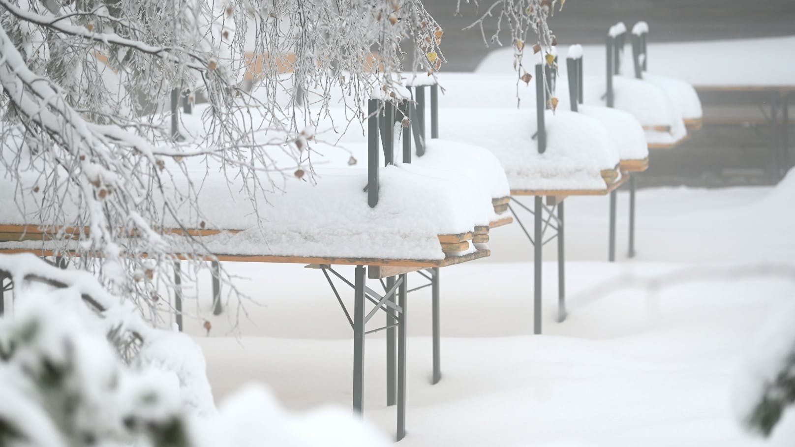 Auch in dieser Woche ist in Österreich wieder mit Schnee zu rechnen.