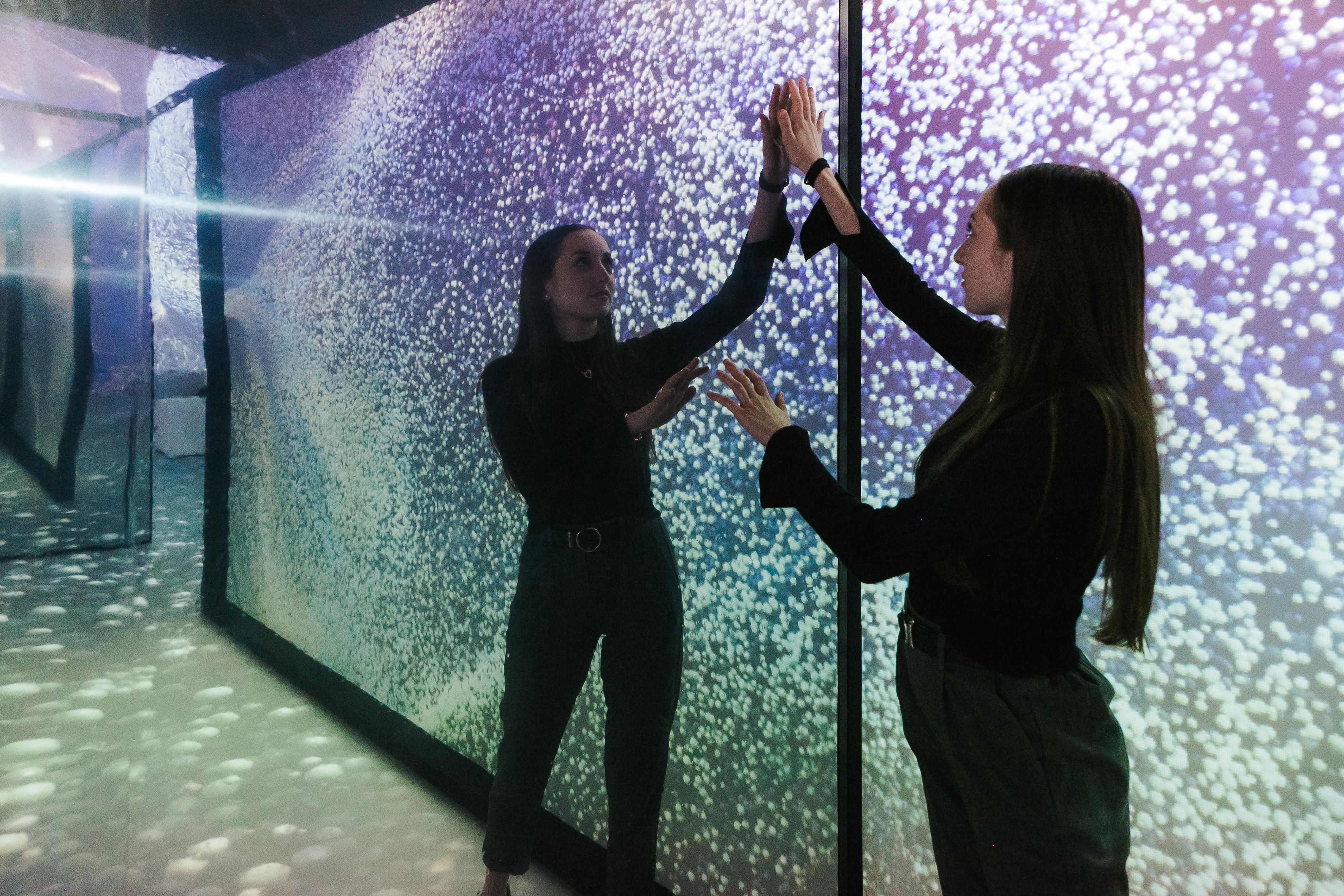 Monets Garten: Das einzigartige Ausstellungskonzept mit modernster Multimedia-Technik ist ab sofort bis 22. Jänner 2023 in Wien zu sehen.