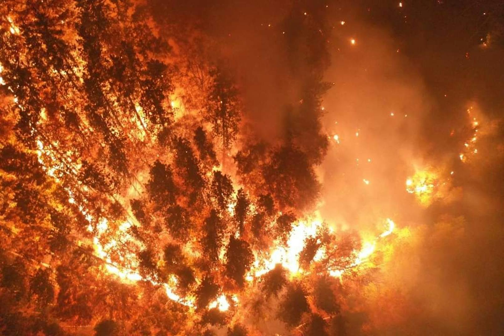 Die Verursacher des Waldbrandes in Hirschwang konnten immer noch nicht gefunden werden.