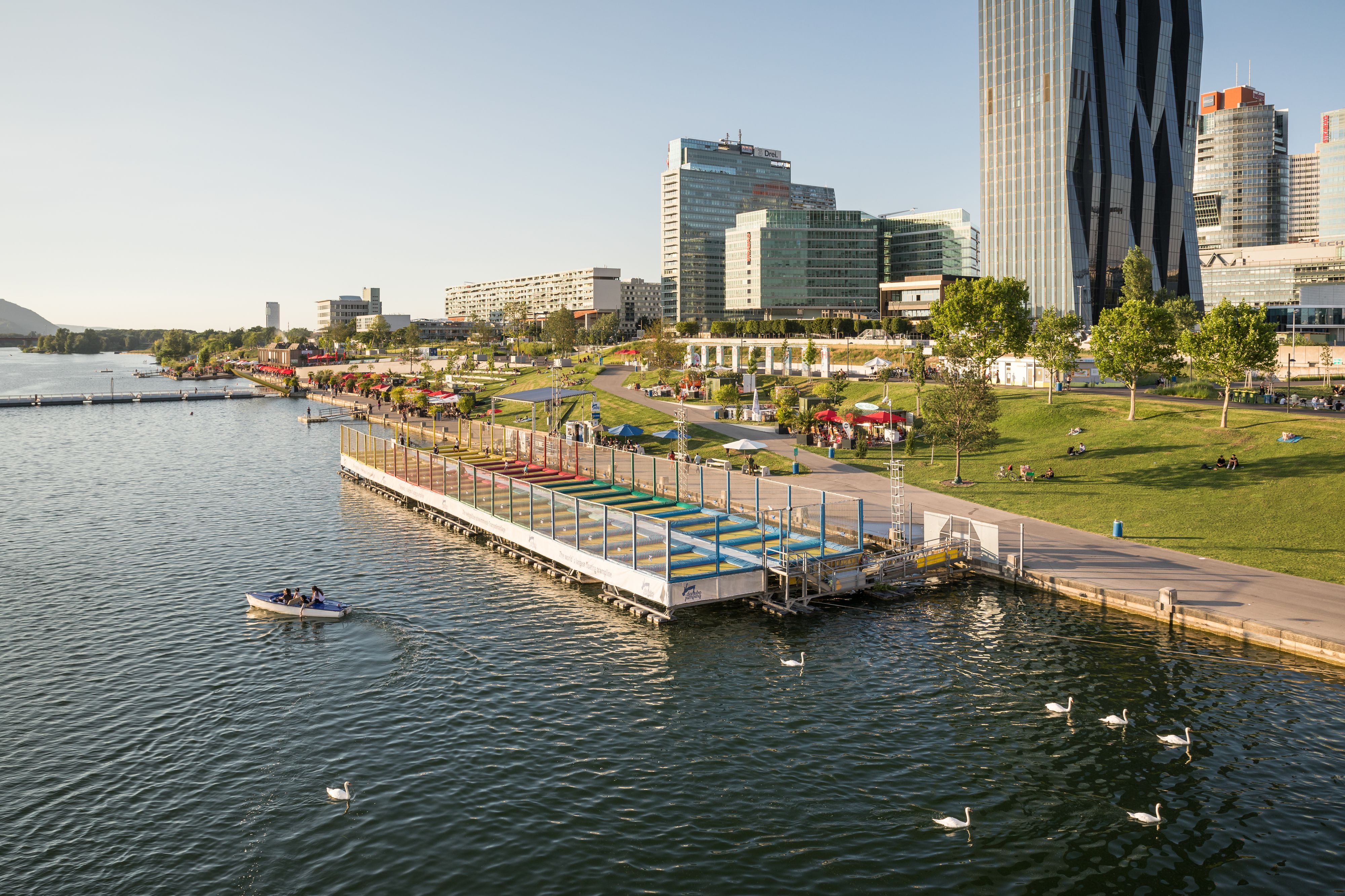 Idylle an der CopaBeach an der Neuen Donau - hier treibt ein Tierhasser sein Unwesen: Er tötet Schwäne