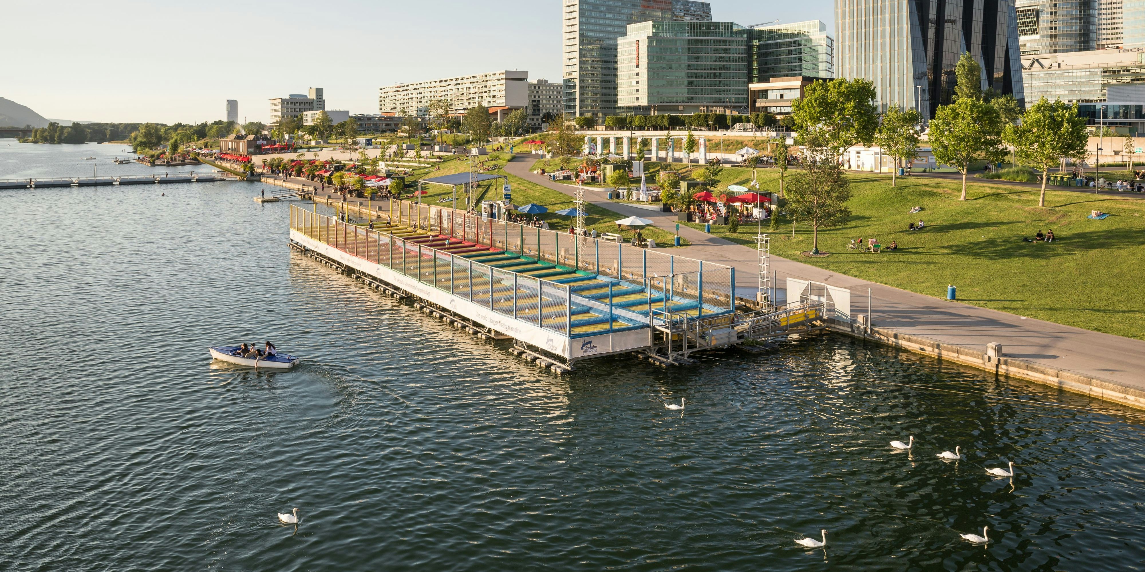 Idylle an der CopaBeach an der Neuen Donau - hier treibt ein Tierhasser sein Unwesen: Er tötet Schwäne