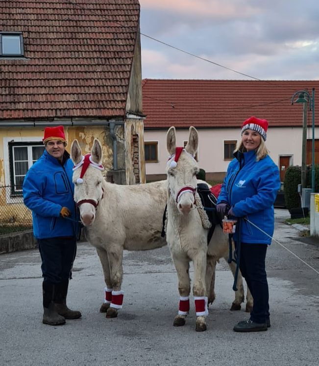 Der Nikolo mit den weißen Eseln