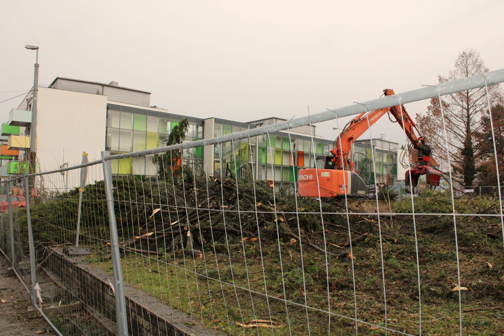 Die Rodungen im Altoona-Park