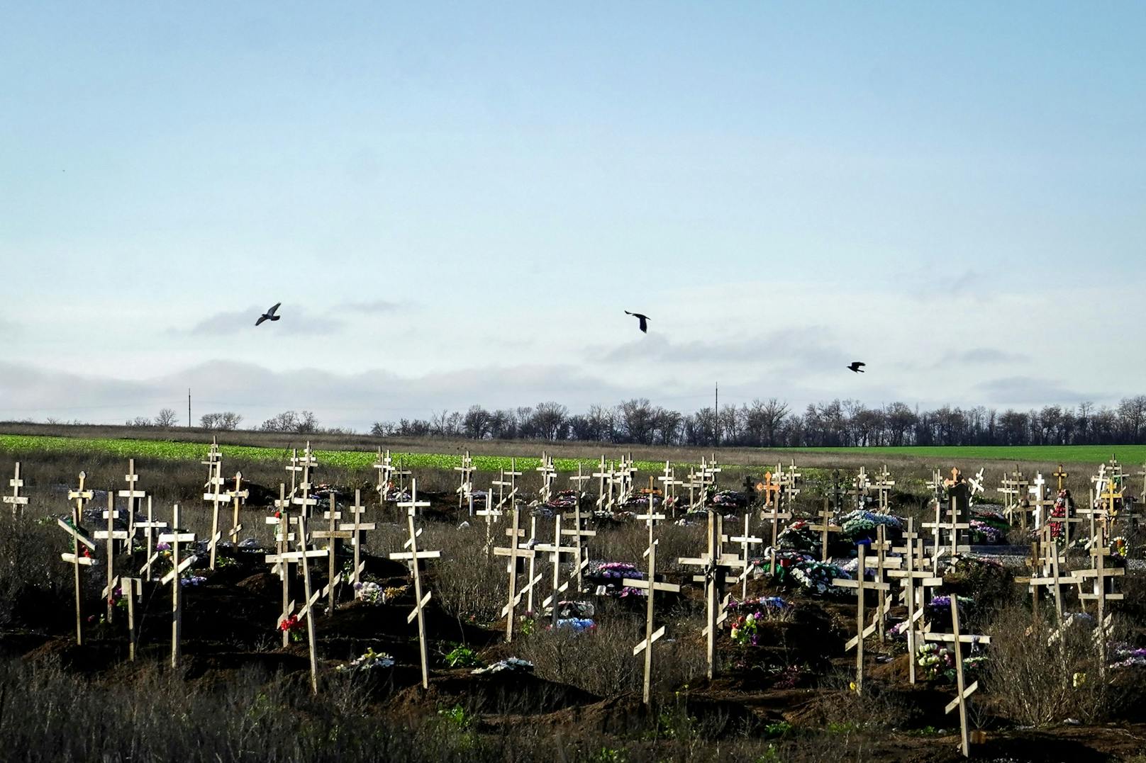 Krähenvögel auf zahlreichen frischen Gräbern rund um die russisch-besetzte Mariupol am 29. November 2022.