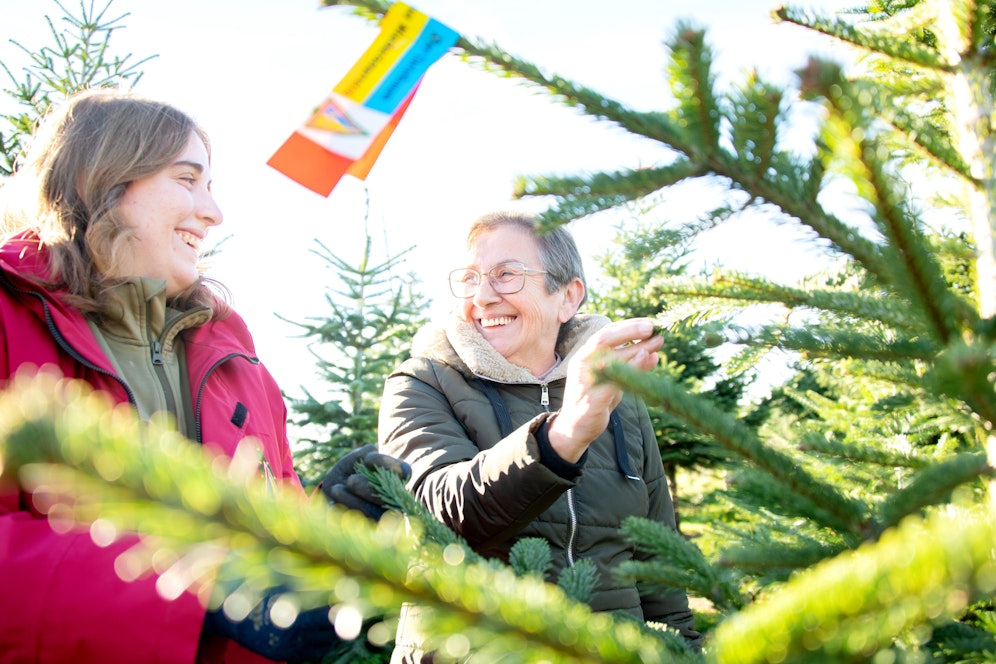NÖ Christbaumbauern bieten eine große Auswahl, bestes Service und eine individuelle Beratung