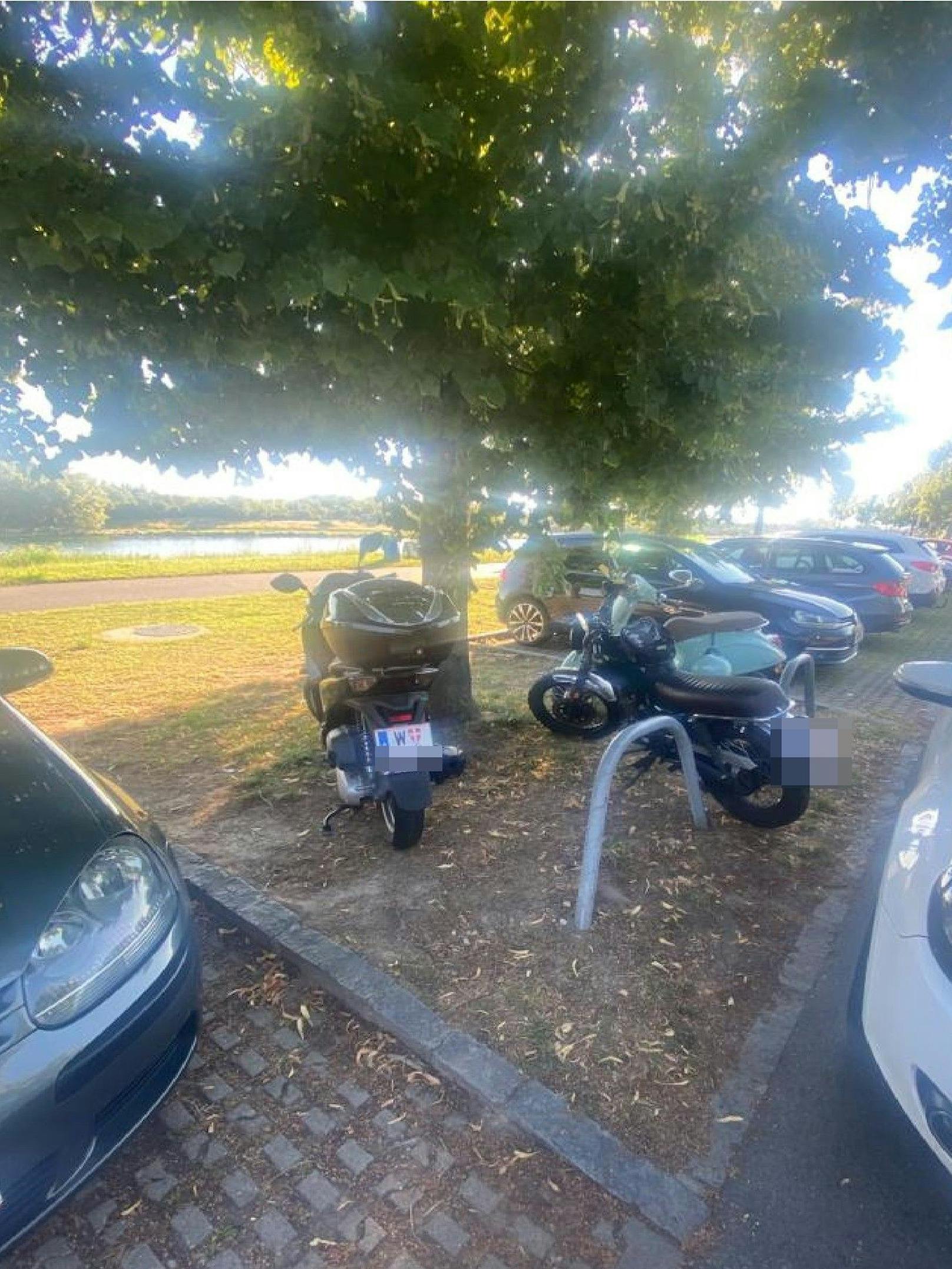 ... und parkte seinen Zweiräder auf einer "Grünfläche".