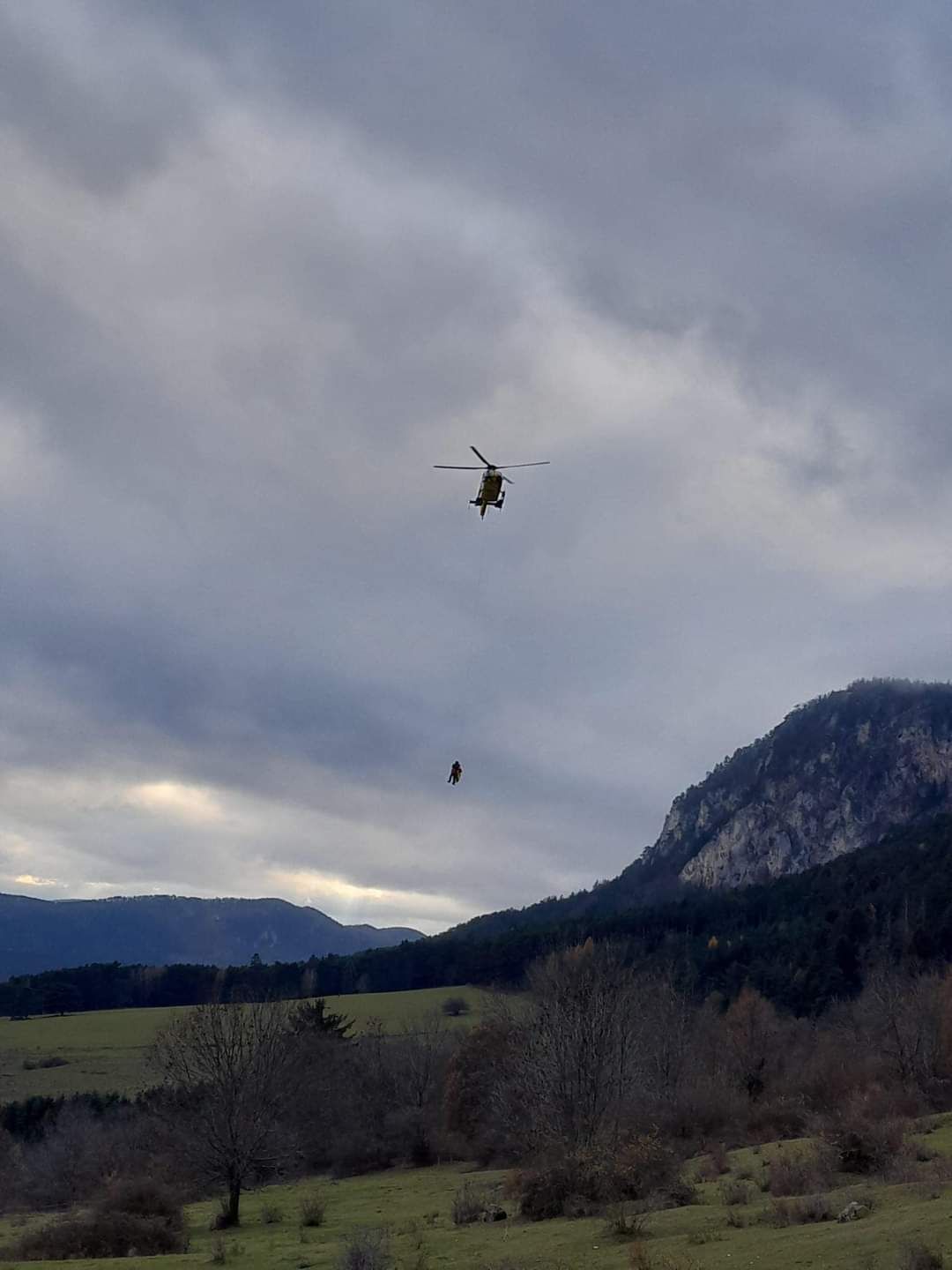 Paragleiter-Unfall auf der Hohen Wand, Helfer im Einsatz