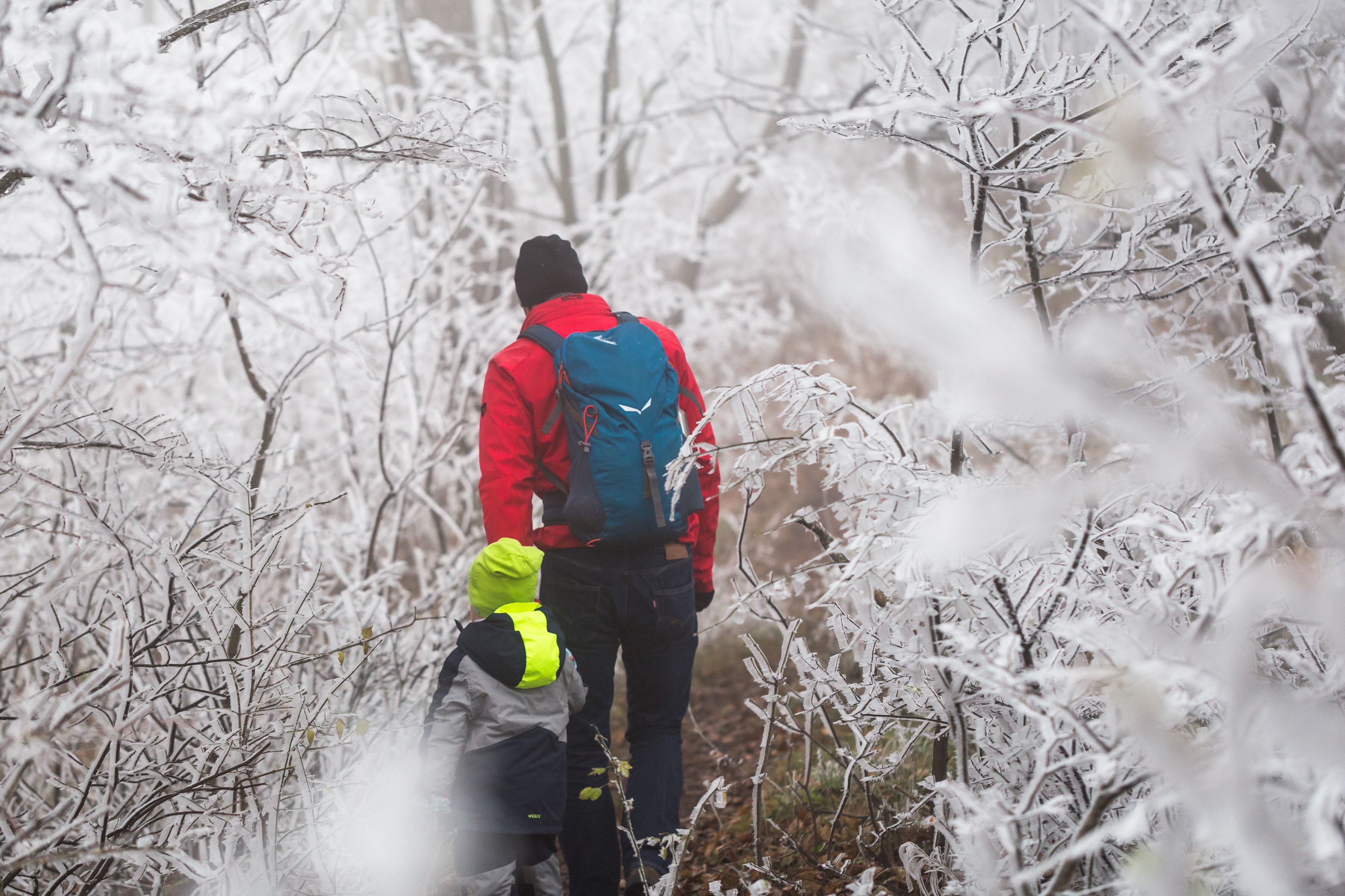 Vater und Sohn im vereisten und nebeligen Wienerwald bei Perchtoldsdorf. Archivbild.