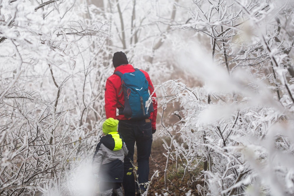 Nicht nur im Wienerwald wird es in den kommenden Tagen bitterkalt und eisig. Archivbild.