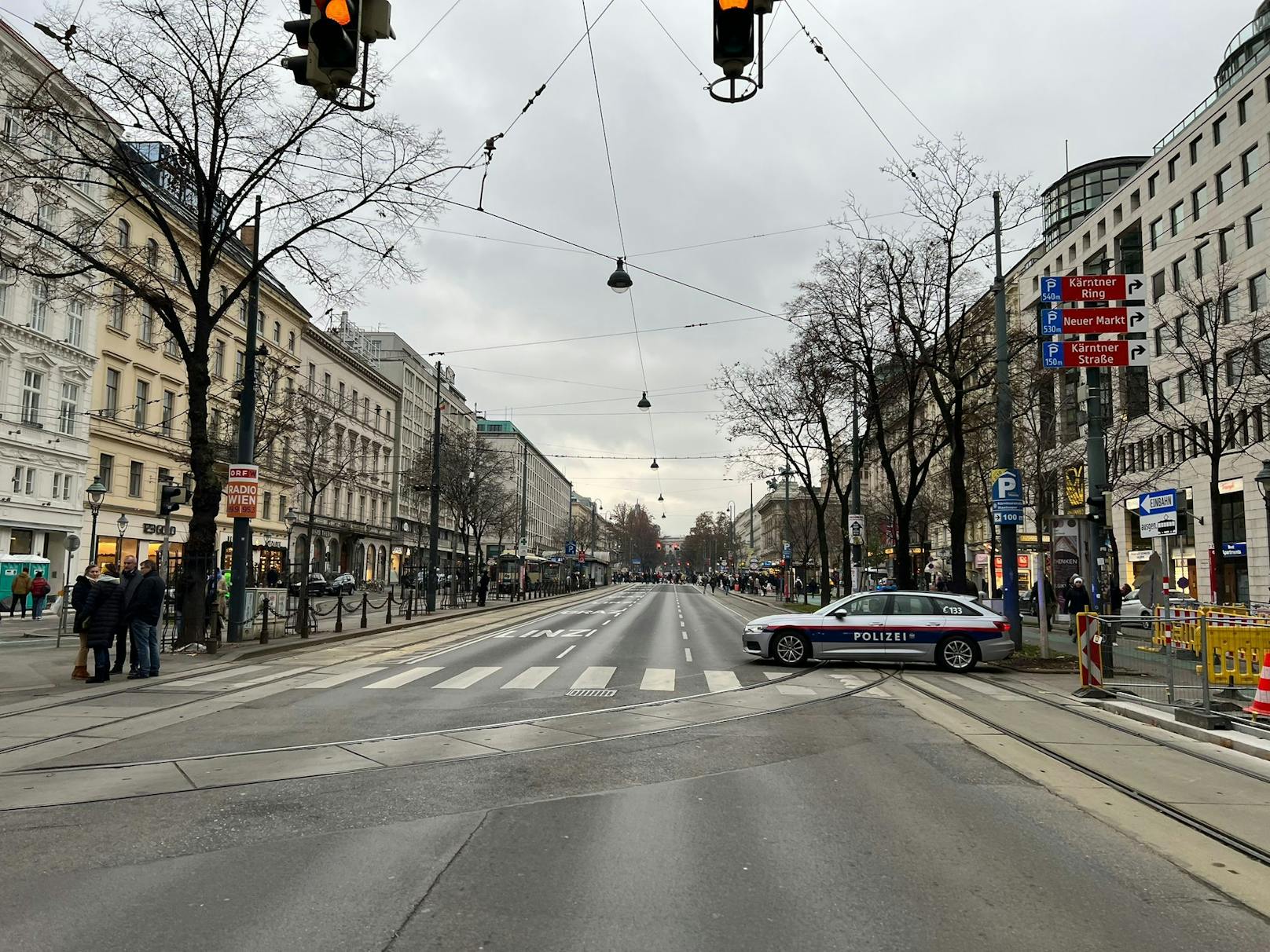 Rund&nbsp;300 Personen legen die Wiener Innenstadt lahm.