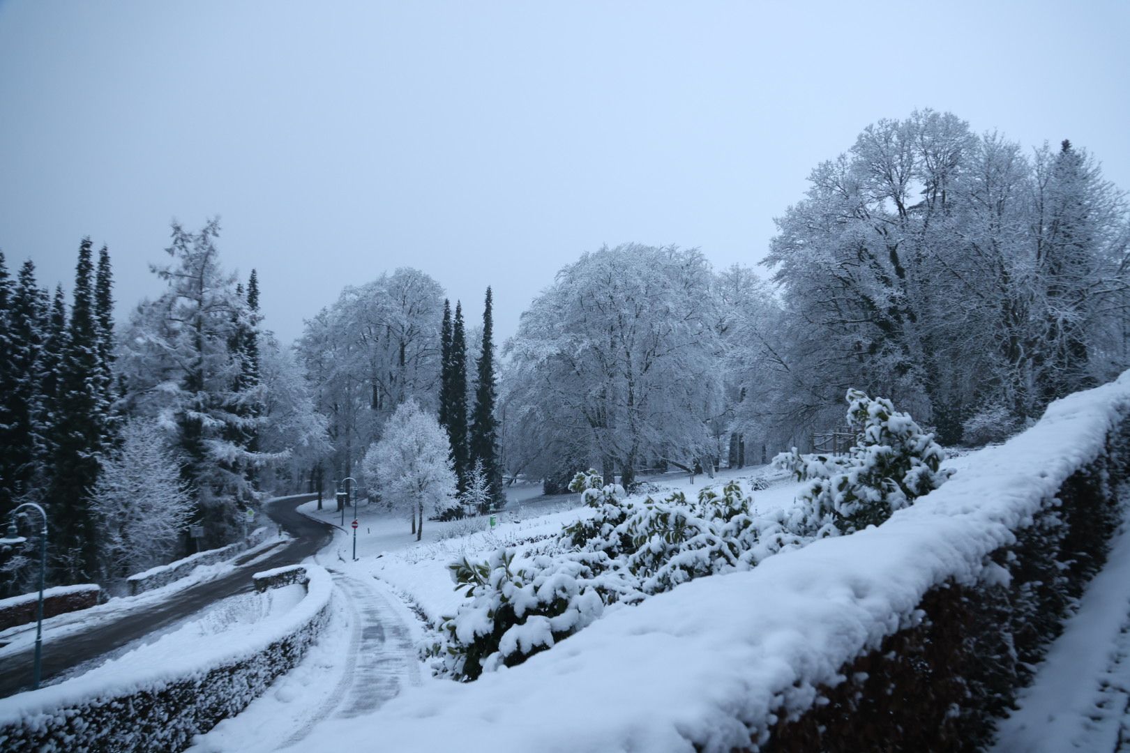 Der Ladendieb versteckte sich unter einem Busch im Schnee (Symbolfoto)