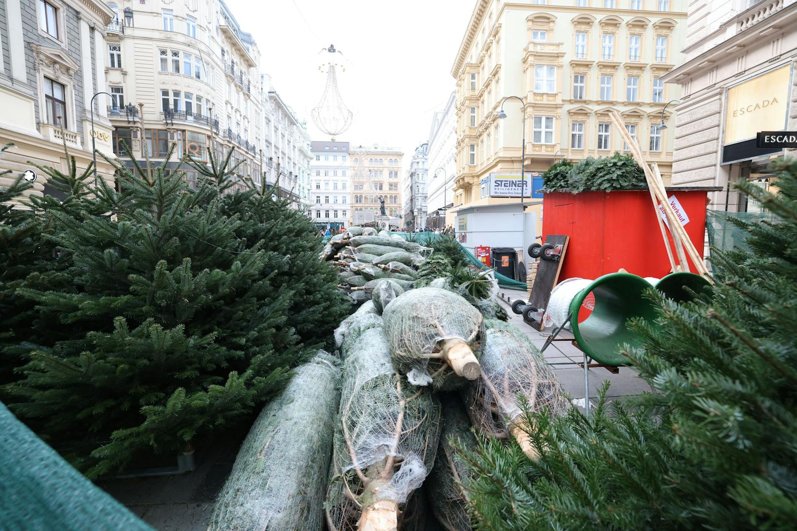 Startschuss für den Christbaumverkauf in Wien. Am Graben geht es am Montag los.