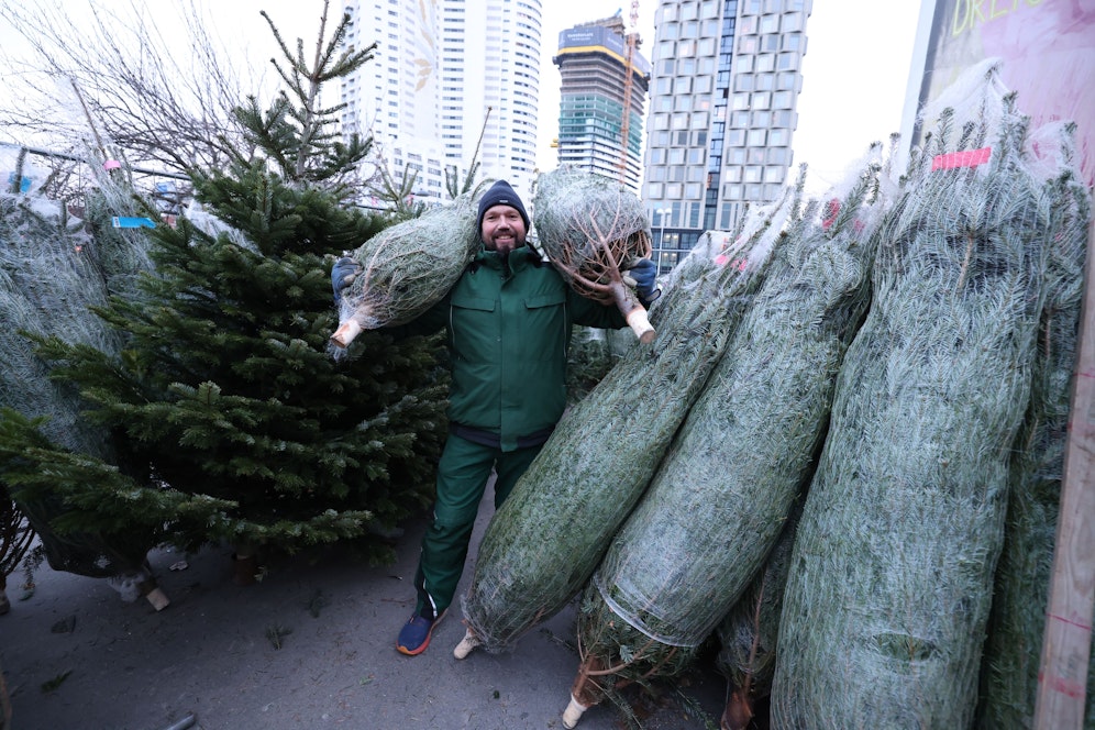 Auch heuer bieten zahlreiche Christbaumverkäufer die Bäume für das frohe Fest an.&nbsp;