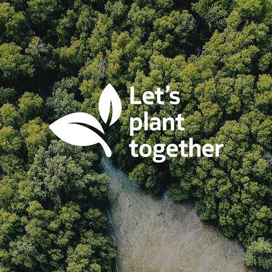 HMD Global hat bereits über 365.000 Bäume in Kooperation mit Ecologi gepflanzt.