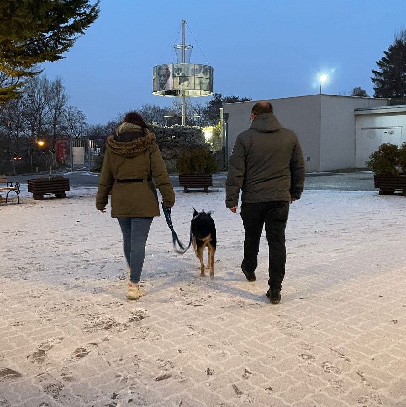 Ein lachendes und ein weinendes Auge der Pfleger im Tierschutz Austria sieht 