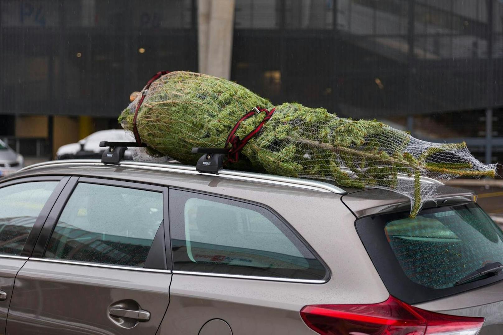 Ein Christbaum am Autodach.