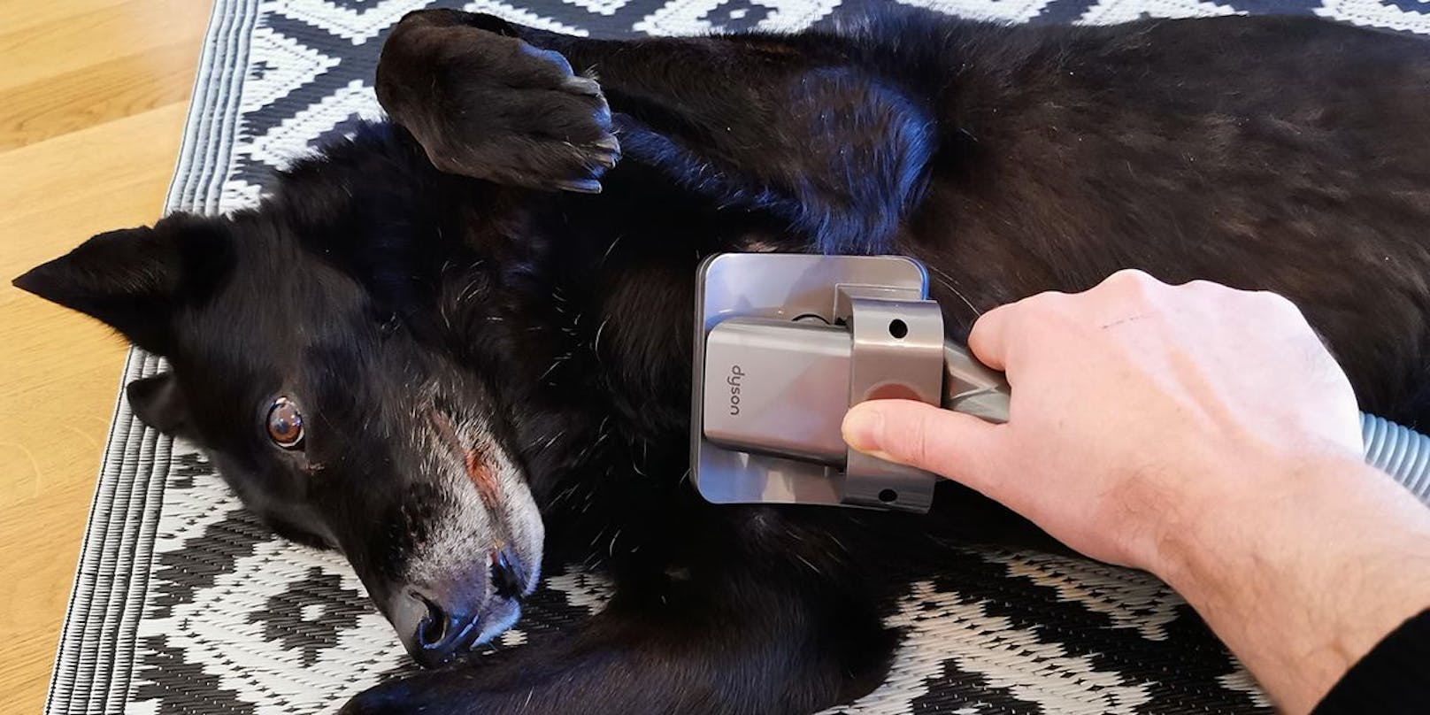 Der Dyson Pet Grooming Kit ist ein perfekter Helfer vor allem für Hundebesitzer. Die Tierhaarbürste gleitet gut durchs Fell, nimmt Haare und Haarbüschel ohne Ziehen ...