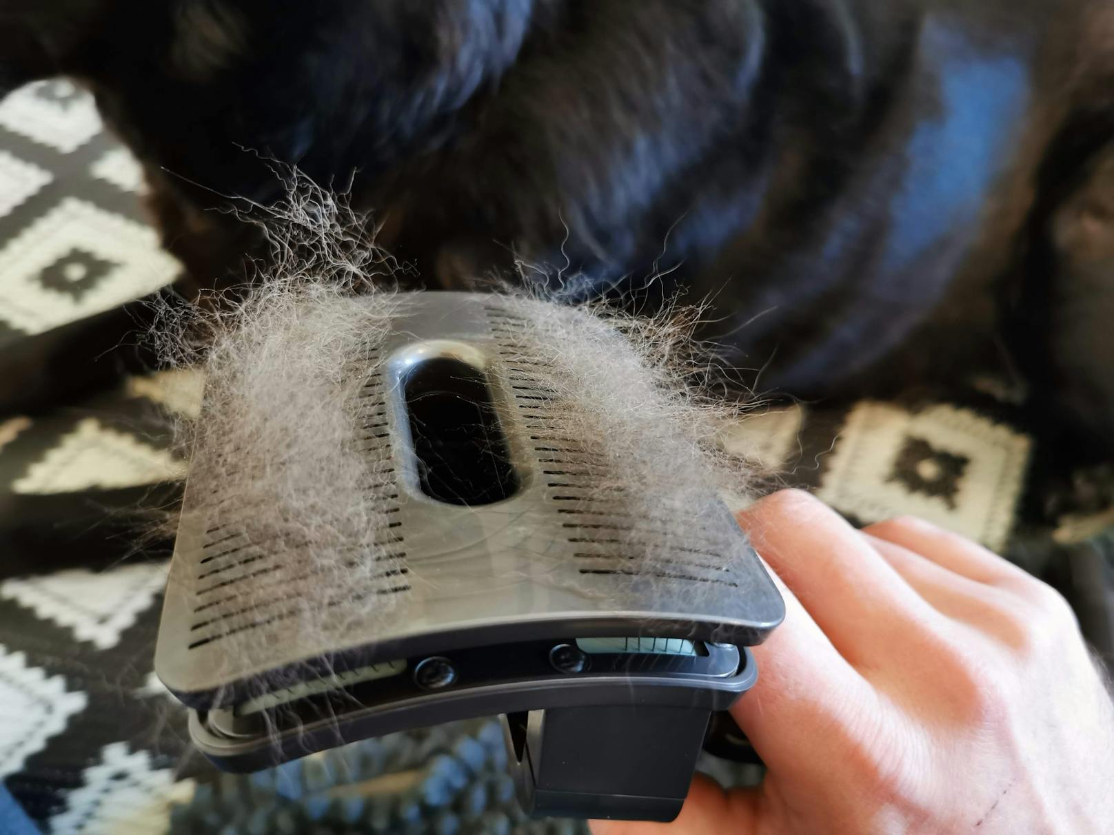 Der Dyson Pet Grooming Kit im "<em>Heute</em>"-Test&nbsp; – herausgekämmtes Haar bleibt in den Borsten haften und wird dann restlos eingesaugt.