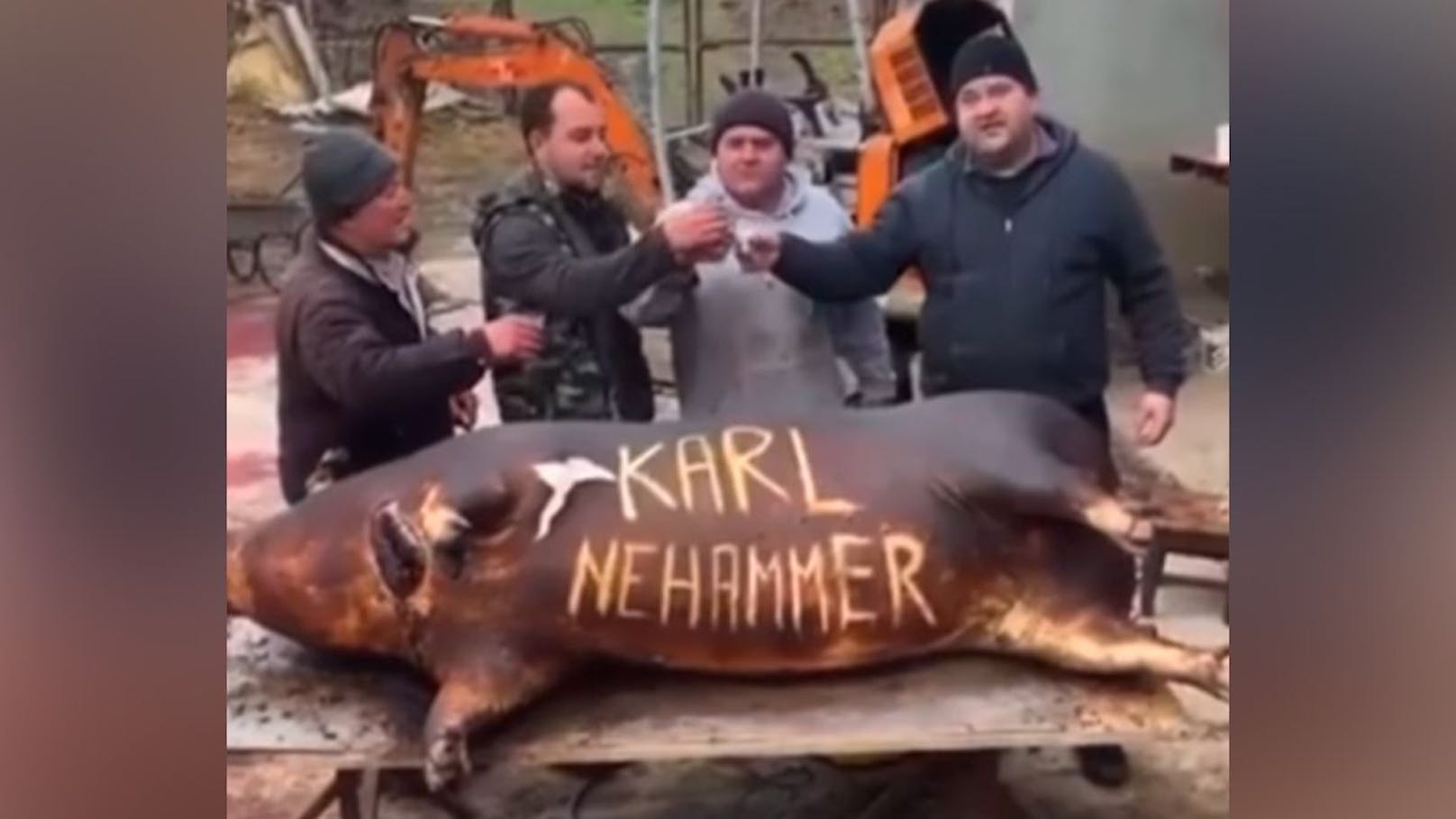 "Alles Gute" – Rumänen prosten "Nehammer"-Schwein zu