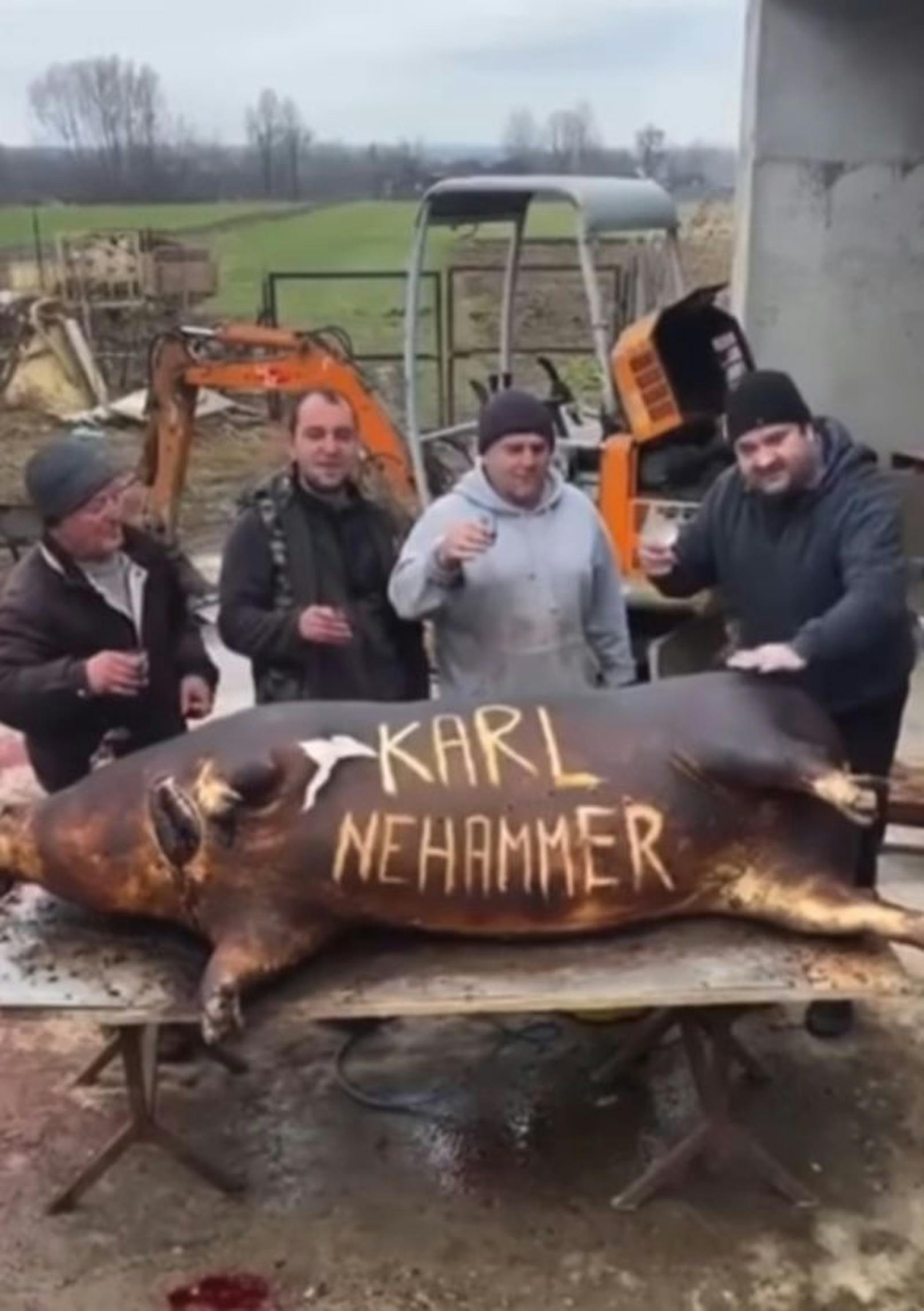 Darauf sind vier Männer zu sehen, die einem verkohlten Schwein "Karl Nehammer" in den Bauchspeck geritzt haben.