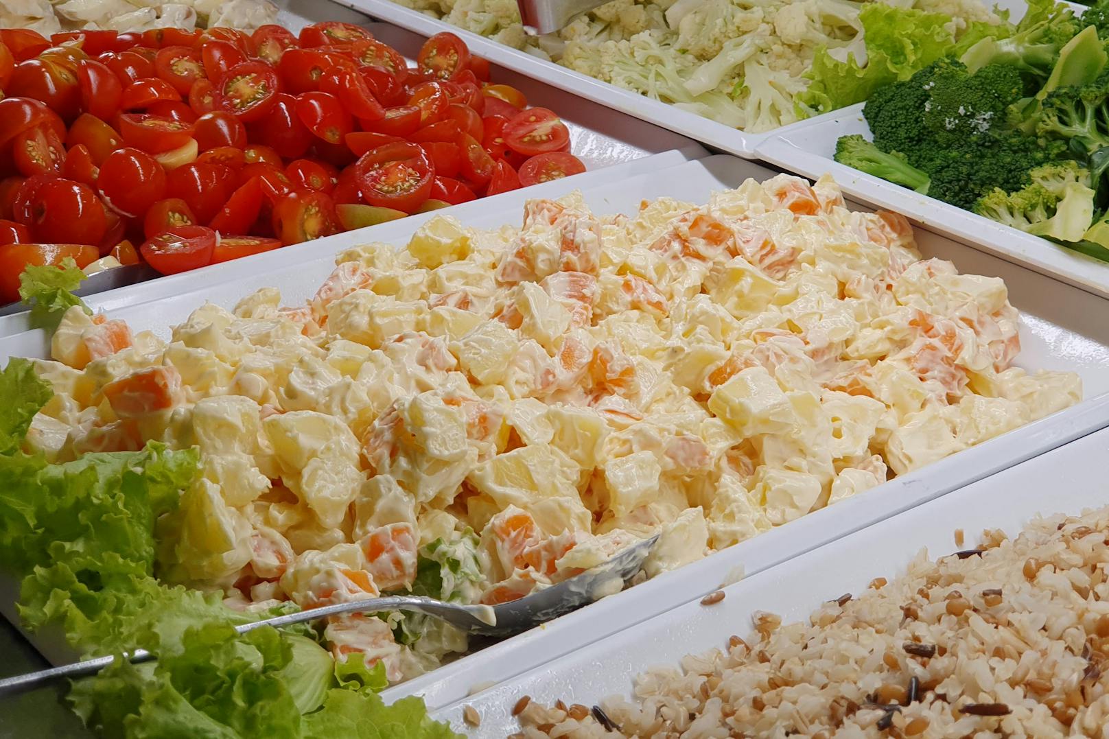 Der niederösterreichische Hersteller von marinierten Salaten, Gewürzmischungen und Gemüse-Pfannen musste Insolvenz anmelden.