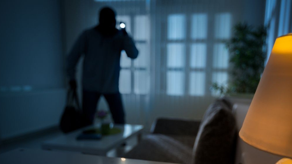 Drei maskierte Männer stiegen in das Haus ein und knebelten den Besitzer.