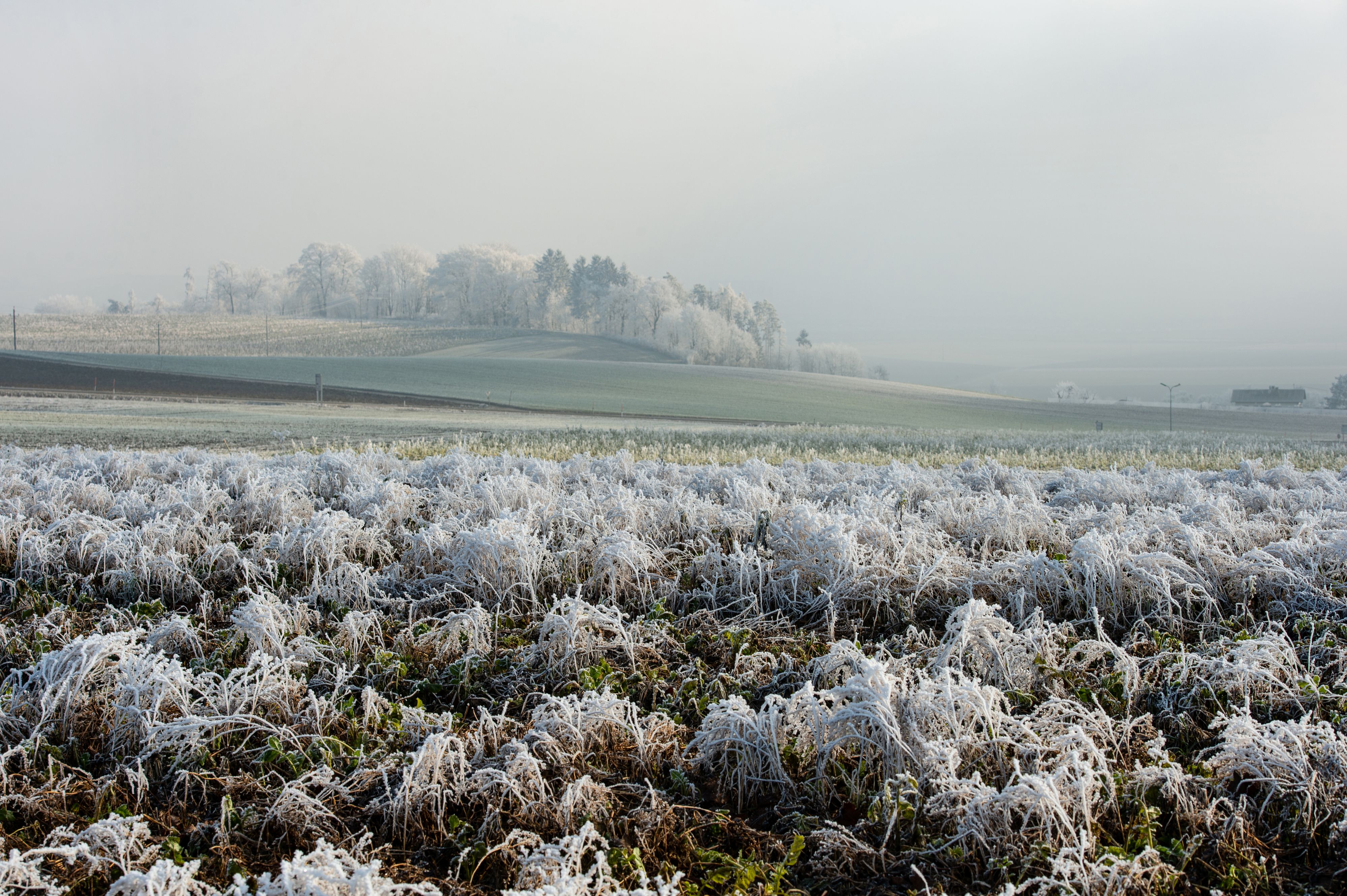Am Wochenende kann es auch in tiefen Lagen wieder schneien – und es wird kalt.