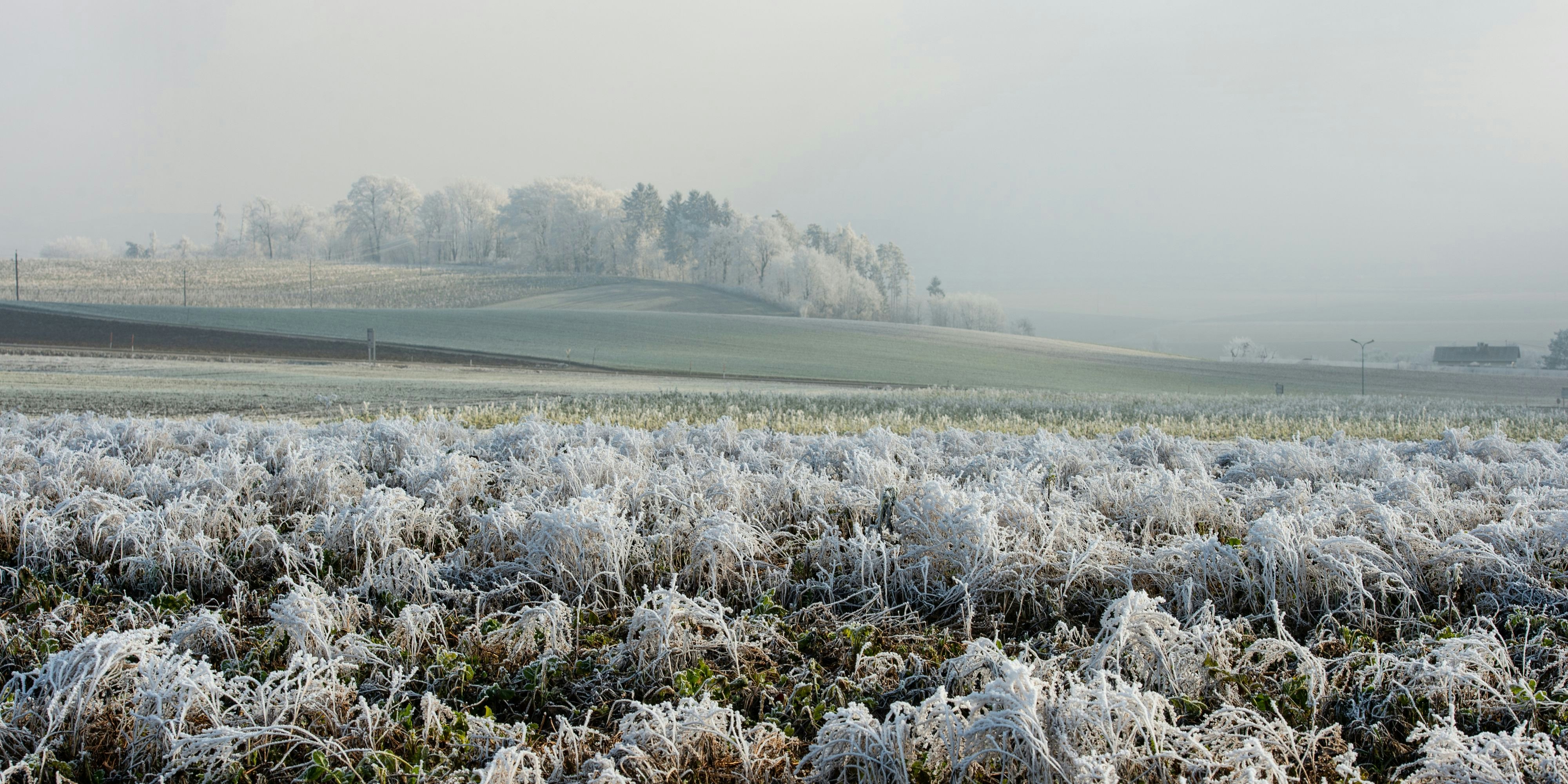 Am Wochenende kann es auch in tiefen Lagen wieder schneien.