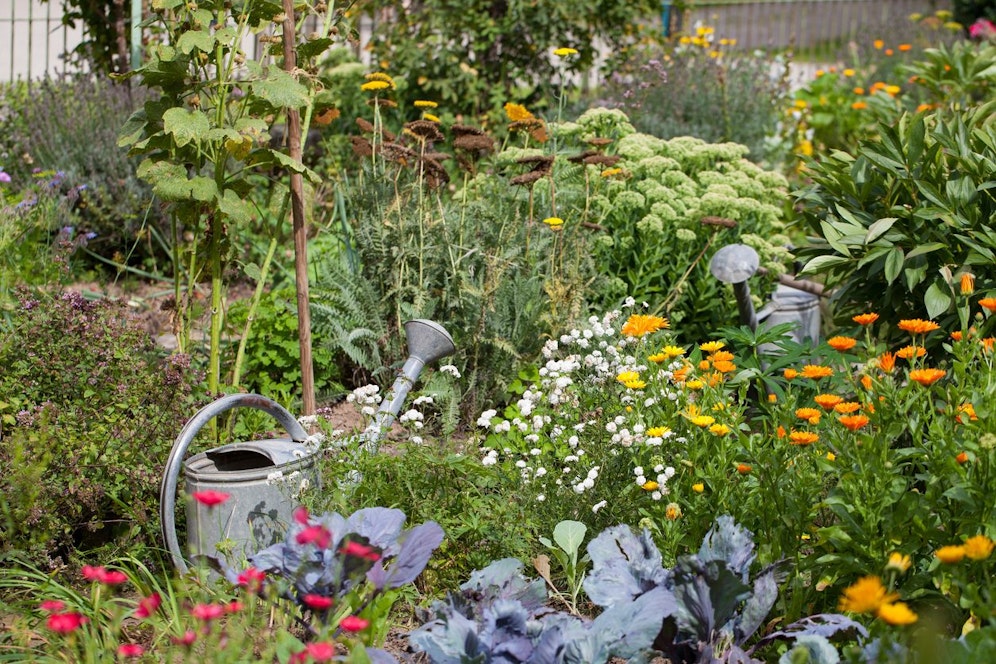 Ein Garten kann auch ein Treffpunkt für die Nachbarschaft sein: Den Beweis dafür legte Brigitte mit ihrem Sozialgarten in Wien-Margareten vor. (Symbolbild)