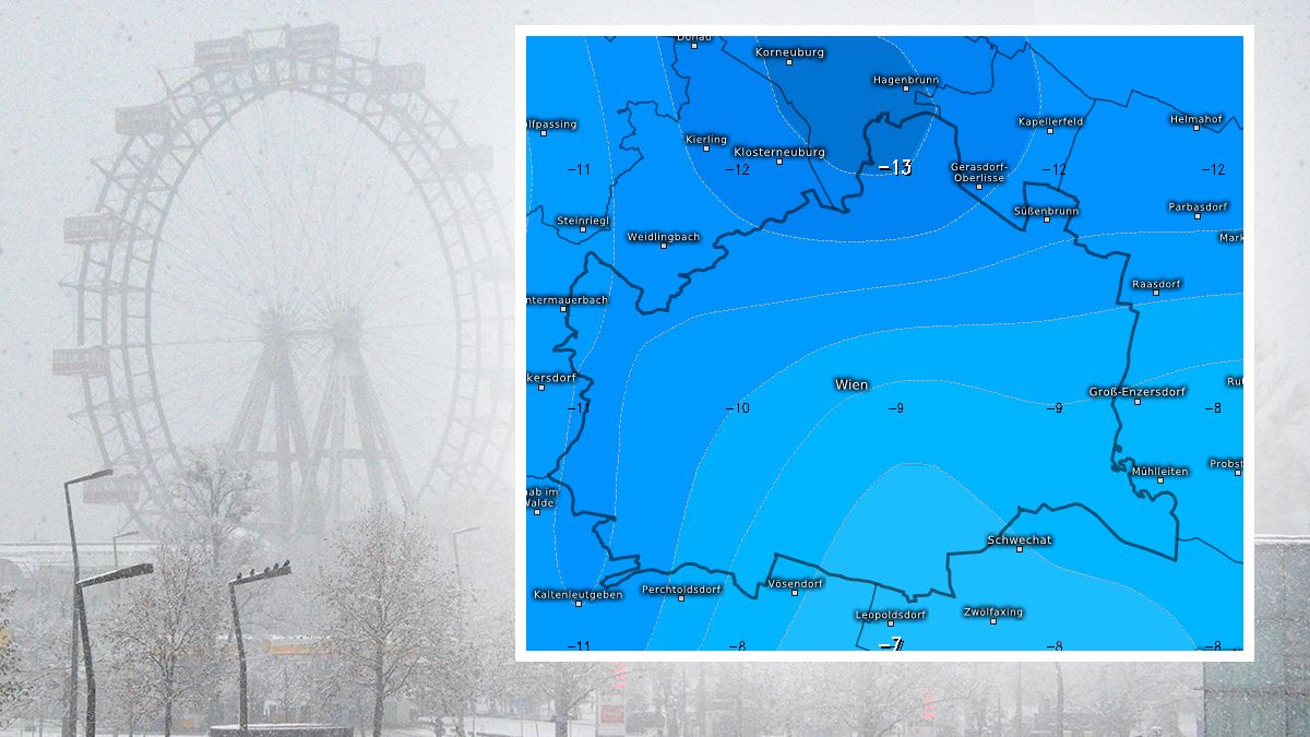 In Wien soll es laut ECMWF-Modellkarte jetzt bitterkalt werden.