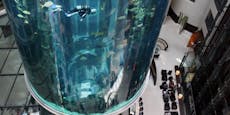 16 Meter hohes Hotel-Aquarium geplatzt – Großeinsatz