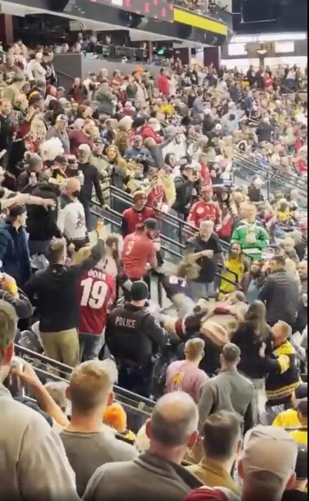 In der NHL kam es zu einer heftigen Tribünen-Schlägerei.