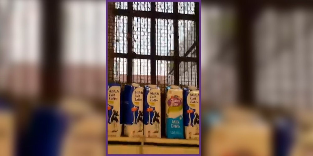 Brians Instagram-Account wird von einem Künstler-Kollektiv gemanagt.