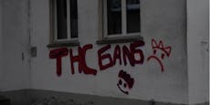 "THC-Gang" beschmiert Volksschule und Bibliothek
