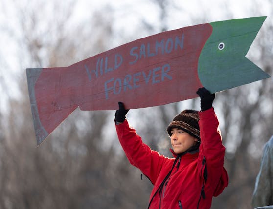 Rund um den UN-Biodiversitätsgipfel in Montreal kam es zu Massenprotesten durch Klimaaktivisten.