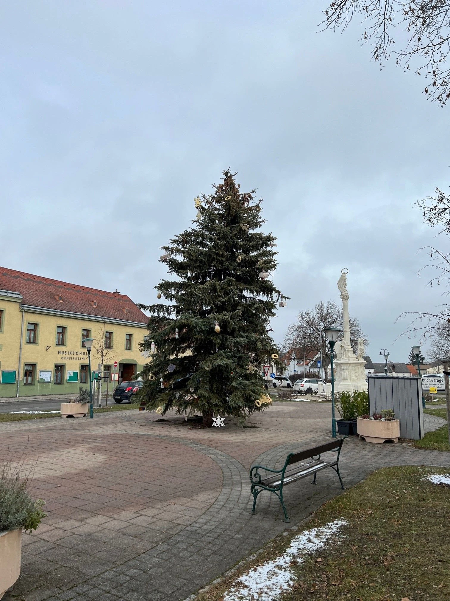 Christbaum in Unterwaltersdorf