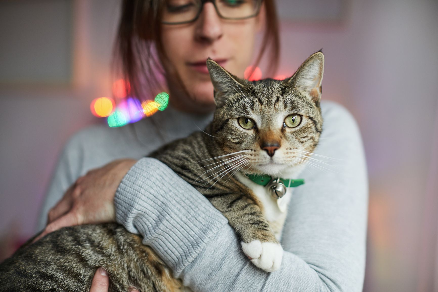 Haustierfreundliche Technologie wird immer wichtiger.